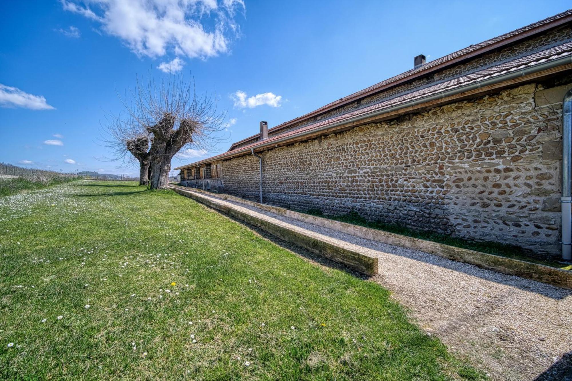 Maison Michonieres - Gite 3 Etoiles - 8 Personnes Miribel  Exterior photo